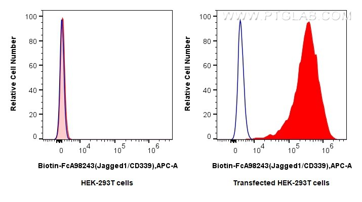 FC experiment of Transfected HEK-293T using Biotin-FcA98243 Flow cytometry (FC) experiment of Transfected HEK-293T cells using FcZero-rAb® Biotin Anti-Human Jagged1/CD339 Rabbit (Biotin-FcA98243)