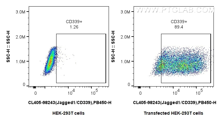 Flow cytometry (FC) experiment of Transfected HEK-293T cells using CoraLite® Plus 405 Anti-Human Jagged1/CD339 Rabbit (CL405-98243)