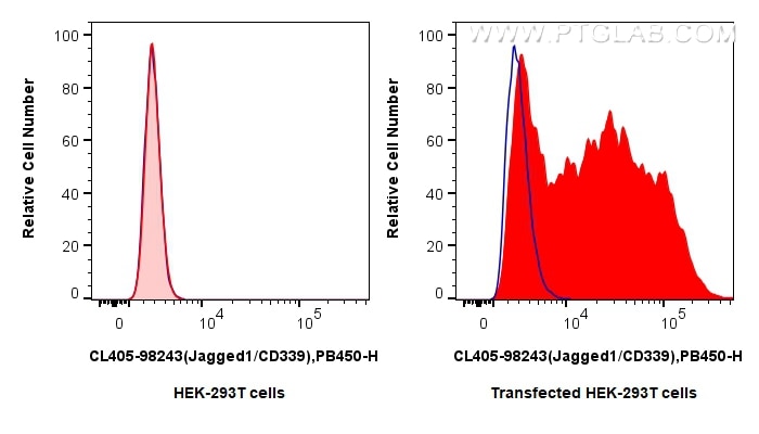 Jagged1/CD339