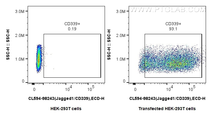Flow cytometry (FC) experiment of Transfected HEK-293T cells using CoraLite®594 Anti-Human Jagged1/CD339 Rabbit Recom (CL594-98243)