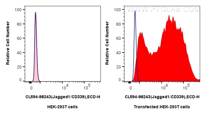 Jagged1/CD339