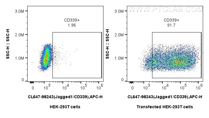 Flow cytometry (FC) experiment of Transfected HEK-293T cells using CoraLite® Plus 647 Anti-Human Jagged1/CD339 Rabbit (CL647-98243)