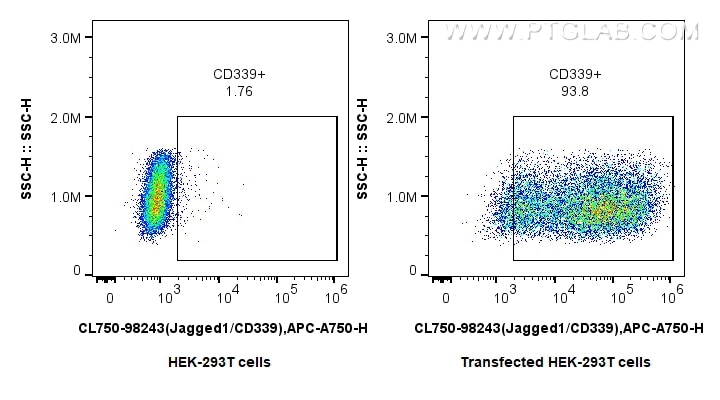 Flow cytometry (FC) experiment of Transfected HEK-293T cells using CoraLite® Plus 750 Anti-Human Jagged1/CD339 Rabbit (CL750-98243)