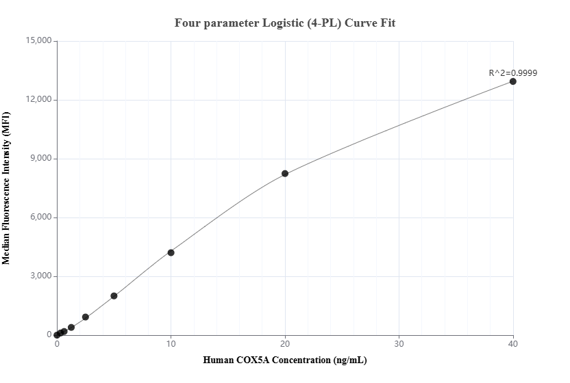 Cytometric bead array standard curve of MP02785-1, COX5A Recombinant Matched Antibody Pair, PBS Only. Capture antibody: 86938-3-PBS. Detection antibody: 86938-2-PBS. Standard: Ag2005. Range: 0.312-40 ng/mL. Cytometric bead array standard curve of MP02785-1, COX5A Recombinant Matched Antibody Pair, PBS Only. Capture antibody: 86938-3-PBS. Detection antibody: 86938-2-PBS. Standard: Ag2005. Range: 0.312-40 ng/mL.