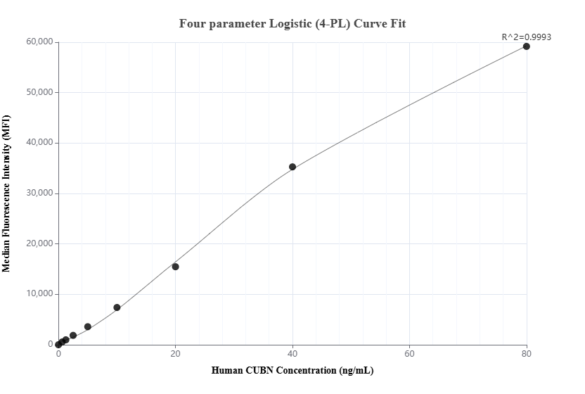 Cytometric bead array standard curve of MP02876-1, CUBN Recombinant Matched Antibody Pair, PBS Only. Capture antibody: 87126-2-PBS. Detection antibody: 87126-1-PBS. Standard: Eg6589. Range: 0.625-80 ng/mL. Cytometric bead array standard curve of MP02876-1