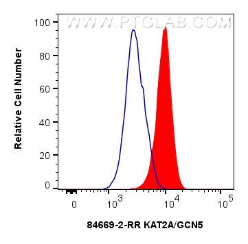Flow cytometry (FC) experiment of HEK-293 cells using KAT2A/GCN5 Recombinant antibody (84669-2-RR)
