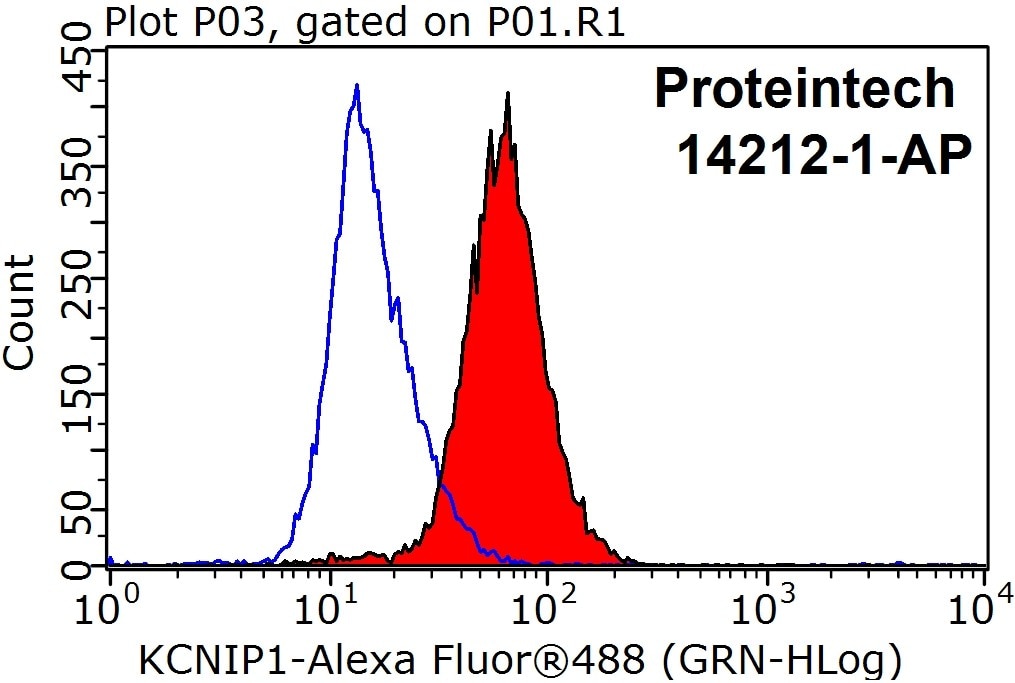 Flow cytometry (FC) experiment of HepG2 cells using KChIP1 Polyclonal antibody (14212-1-AP)