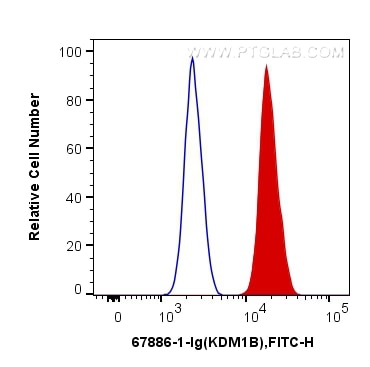 Flow cytometry (FC) experiment of SW 1990 cells using KDM1B Monoclonal antibody (67886-1-Ig)