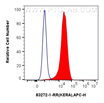 Flow cytometry (FC) experiment of U251 using KERA Recombinant antibody (83272-1-RR)