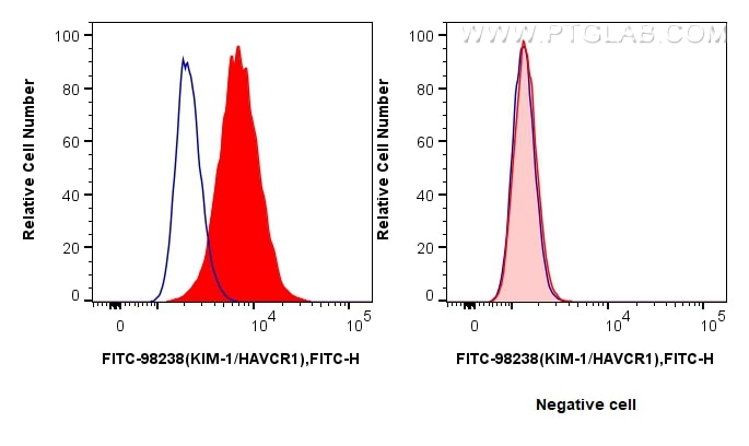 Flow cytometry (FC) experiment of HuH-7 cells using FITC Plus Anti-Human KIM-1/HAVCR1 Rabbit Recombina (FITC-98238)