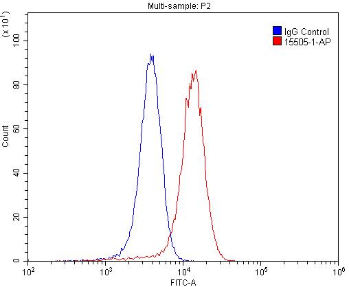 FC experiment of SH-SY5Y using 15505-1-AP