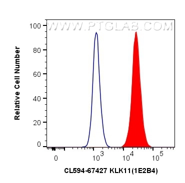 Flow cytometry (FC) experiment of HepG2 cells using CoraLite®594-conjugated KLK11 Monoclonal antibody (CL594-67427)