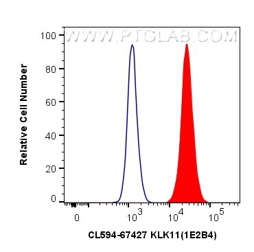 KLK11