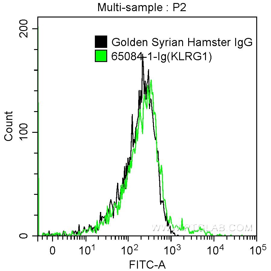 FC experiment of mouse splenocytes using 65084-1-Ig