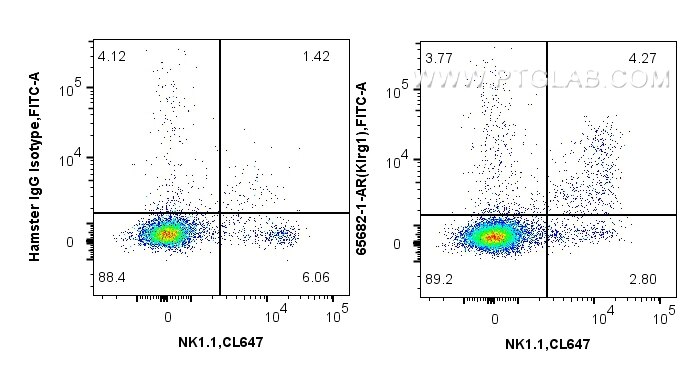 FC experiment of mouse splenocytes using 65682-1-AR Flow cytometry (FC) experiment of mouse splenocytes using Anti-Mouse KLRG1 (2F1) Armenian Hamster IgG2a Reco (65682-1-AR)
