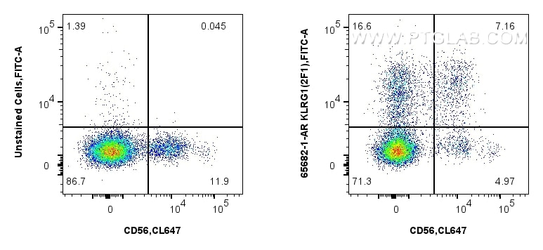 FC experiment of human PBMCs using 65682-1-AR Flow cytometry (FC) experiment of human PBMCs using Anti-Mouse KLRG1 (2F1) Armenian Hamster Recombinan (65682-1-AR)