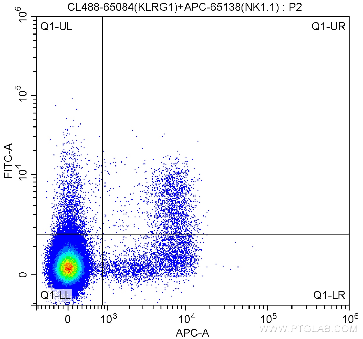 Flow cytometry (FC) experiment of mouse splenocytes using CoraLite® Plus 488 Anti-Mouse KLRG1 (2F1) (CL488-65084)