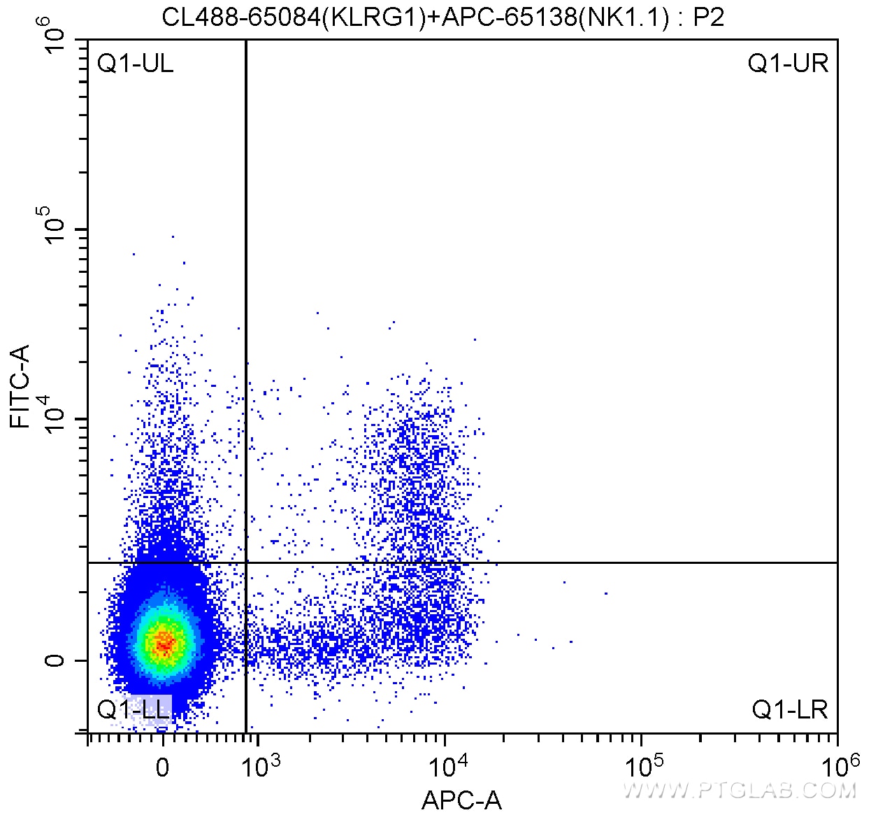 FC experiment of mouse splenocytes using CL488-65084