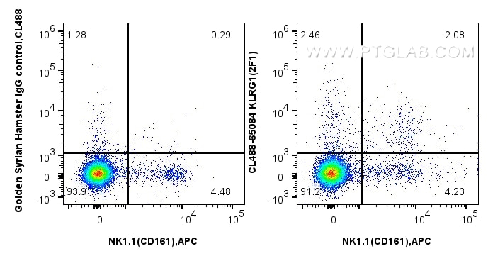 Flow cytometry (FC) experiment of mouse splenocytes using CoraLite® Plus 488 Anti-Mouse KLRG1 (2F1) (CL488-65084)