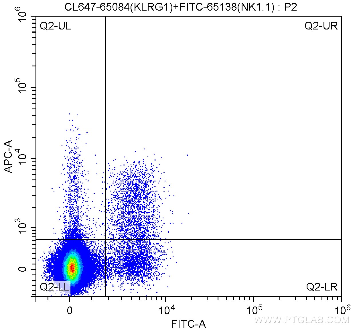 Flow cytometry (FC) experiment of mouse splenocytes using CoraLite® Plus 647 Anti-Mouse KLRG1 (2F1) (CL647-65084)
