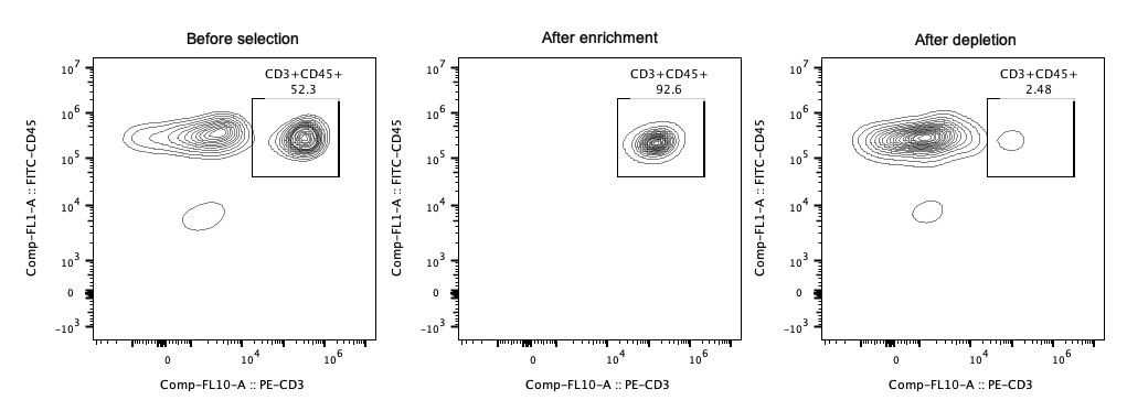 Following cell separation, cell suspension was stained with FITC-CD45(F10-89-4) and PE-CD3(UCHT1) antibodies. All viable cells are gated in the analysis. Left panel: CD3+CD45+ cells before selection. Middle panel: CD3+CD45+ cells after enrichment. Right panel: CD3+CD45+ cells after depletion. Human CD3 magnetic beads kit is tested using PBMC from three donors.