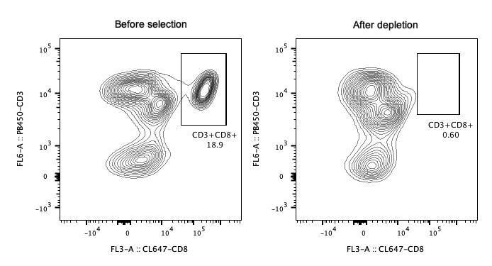 Following depletion of CD8+ cells, supernatant cell suspension was stained with PB450-CD3(clone: HIT3a) and CL647-CD8(clone: OKT8). CD45+ cells are gated in the analysis. Left panel: CD3+CD8+ cells before selection. Right panel: CD3+CD8+ cells after depletion. Human CD8 magnetic beads kit is validated using PBMC from three different donors.