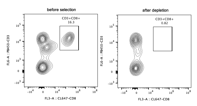 Following depletion of CD8+ cells, supernatant cell suspension was stained with PB450-CD3(clone: HIT3a) and CL647-CD8(clone: OKT8) antibodies. CD45 positive cells are gated in the analysis. Left panel: CD3+CD8+ cells before selection. Right panel: CD3+CD8+ cells after depletion. Human CD8 magnetic beads are tested using PBMC from three different donors.