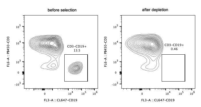 Following depletion of CD19+cells, supernatant suspension was stained with PB450-CD3 (clone: HIT3a) and CL647-CD19 (cloneSJ25C). CD45+ cells are gated in the analysis. Left panel: CD3-CD19+ cells before selection. Right panel: CD3-CD19+ cells after depletion. Human CD19 magnetic bead kit is tested using PBMC from three different donors.