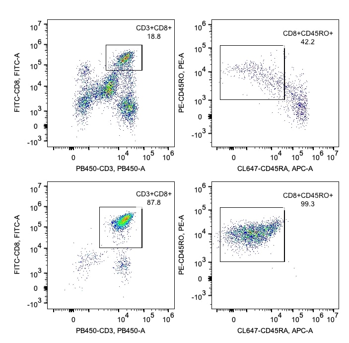 Following cell separation, cell suspension was stained with PB450-CD3 (UCHT1), FITC-CD8 (OKT8), PE-CD45RO (UCHL1) and CL647-CD45RA (HI100) antibodies. All viable cells are gated in the analysis. Left upper panel: CD3+CD8+ cells before selection; right upper panel: CD45RO+ cells within CD8+ cells. Left lower panel: CD3+CD8+ cells after selection; right lower panel: CD45RO+ cells within CD8+ cells. Human CD8 memory T cell isolation kit is tested using PBMC from three donors.
