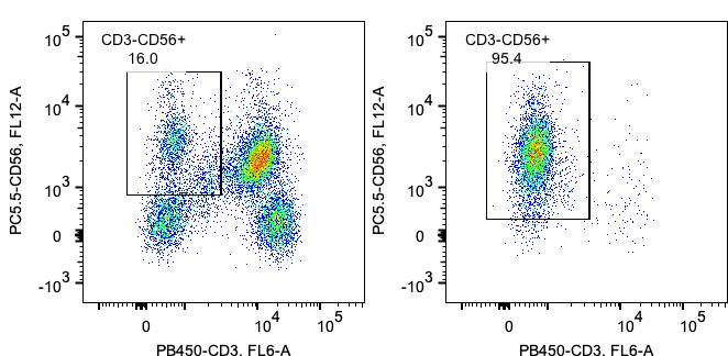 Following cell separation, cell suspension was stained with PB450-CD3(UCHT1), FITC-CD45(HI30), and PerCP-Cy5.5-CD56(MEM18) antibodies. All viable CD45+ cells are gated in the analysis. Left panel: CD3-CD56+ NK cells before selection; right panel CD3-CD56+ NK cells after selection. Human NK cell isolation kit is tested using PBMC from three donors.