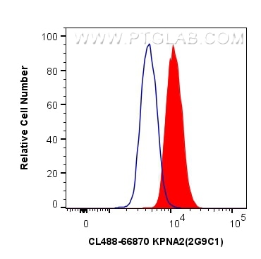 Flow cytometry (FC) experiment of HEK-293T cells using CoraLite® Plus 488-conjugated KPNA2 Monoclonal ant (CL488-66870)