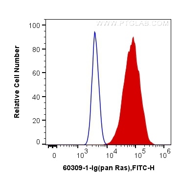 Flow cytometry (FC) experiment of HeLa cells using pan Ras Monoclonal antibody (60309-1-Ig)