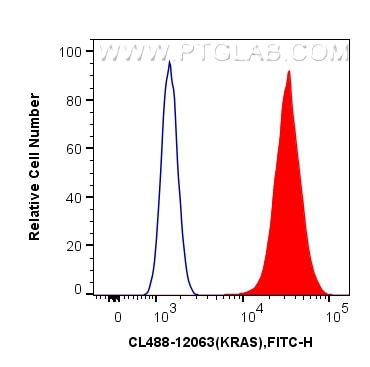 Flow cytometry (FC) experiment of HeLa cells using CoraLite® Plus 488-conjugated KRAS Polyclonal anti (CL488-12063)