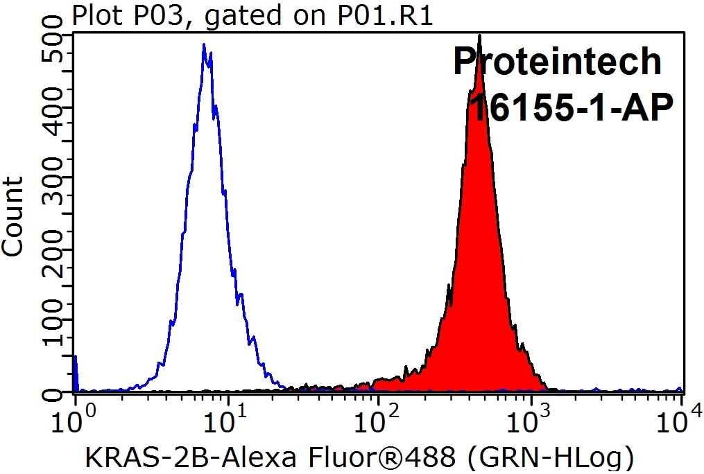 KRAS-2B-specific