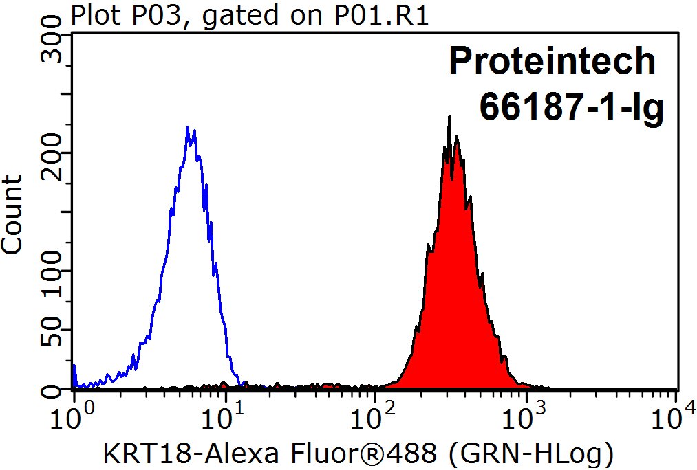 Cytokeratin 18