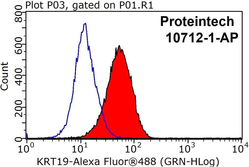 Cytokeratin 19