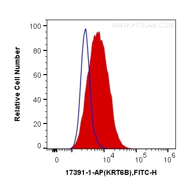 Flow cytometry (FC) experiment of HeLa cells using Cytokeratin 6B Polyclonal antibody (17391-1-AP)
