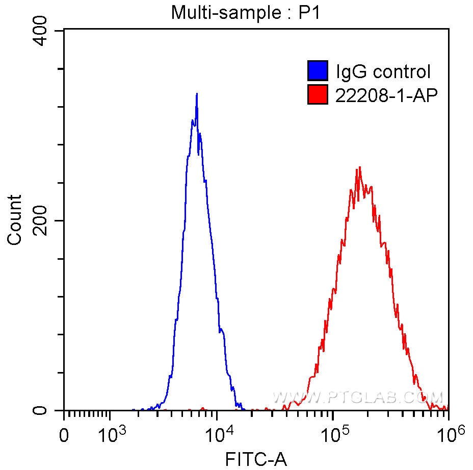 Flow cytometry (FC) experiment of HeLa cells using Cytokeratin 7 Polyclonal antibody (22208-1-AP)