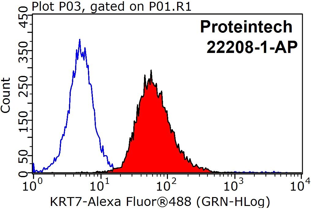 Cytokeratin 7