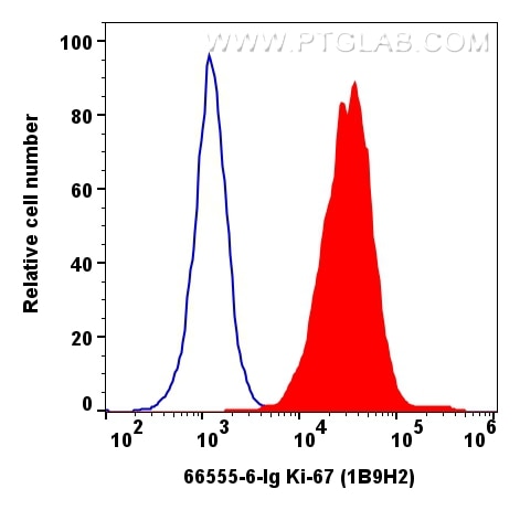 Flow cytometry (FC) experiment of A431 cells using Ki-67 Monoclonal antibody (66555-6-Ig)