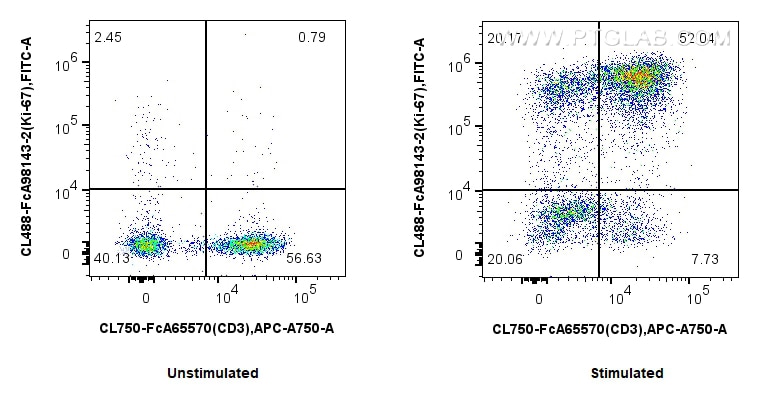 1x10^6 untreated or PHA-treated human PBMCs were intracellularly stained with 5 ul CoraLite® Plus 488 Anti-Human Ki-67 Rabbit RecAb (CL488-FcA98143-2, Clone: 241499B1) and FcZero-rAb™ CoraLite® Plus 750 Anti-Human CD3 (UCHT1) Rabbit IgG Recombinant Antibody (CL750-FcA65570, Clone: UCHT1). Cells were fixed and permeabilized with Transcription Factor Staining Buffer Kit (PF00011). Flow cytometry (FC) experiment of human PBMCs using FcZero-rAb™ CoraLite® Plus 488 Anti-Human Ki-67 Ra (CL488-FcA98143-2)