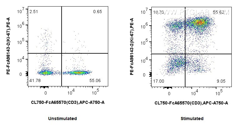 Flow cytometry (FC) experiment of human PBMCs using FcZero-rAb™ PE Anti-Human Ki-67 Rabbit Recombinant (PE-FcA98143-2)