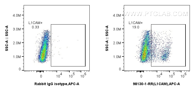 Flow cytometry (FC) experiment of SK-N-SH cells using Anti-Human L1CAM/CD171 Rabbit Recombinant Antibody (98130-1-RR)