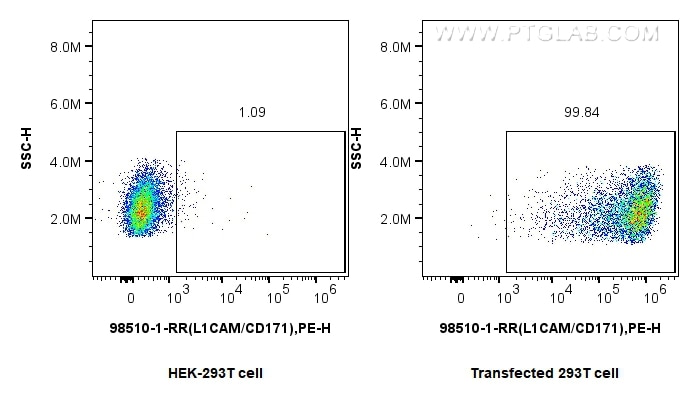 Flow cytometry (FC) experiment of Transfected HEK-293T cells using Anti-Mouse L1CAM/CD171 Rabbit Recombinant Antibody (98510-1-RR)