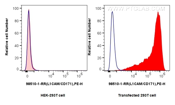Flow cytometry (FC) experiment of Transfected HEK-293T cells using Anti-Mouse L1CAM/CD171 Rabbit Recombinant Antibody (98510-1-RR)