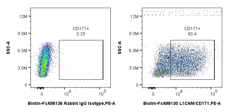 FC experiment of SK-N-SH using Biotin-FcA98130 Flow cytometry (FC) experiment of SK-N-SH cells using FcZero-rAb® Biotin Anti-Human L1CAM/CD171 Rabbit R (Biotin-FcA98130)