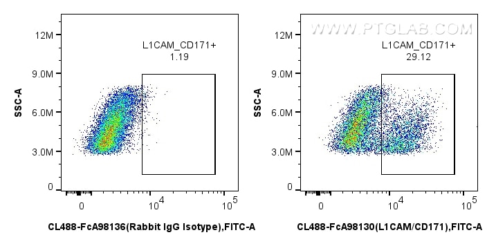 FC experiment of SK-N-SH using CL488-FcA98130 Flow cytometry (FC) experiment of SK-N-SH cells using FcZero-rAb® CoraLite® Plus 488 Anti-Human L1CAM/CD (CL488-FcA98130)