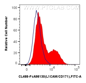 FC experiment of SK-N-SH using CL488-FcA98130 Flow cytometry (FC) experiment of SK-N-SH cells using FcZero-rAb® CoraLite® Plus 488 Anti-Human L1CAM/CD (CL488-FcA98130)
