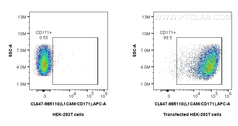 FC experiment of Transfected HEK-293T using CL647-98510 Flow cytometry (FC) experiment of Transfected HEK-293T cells using CoraLite® Plus 647 Anti-Mouse L1CAM/CD171 Rabbit R (CL647-98510)