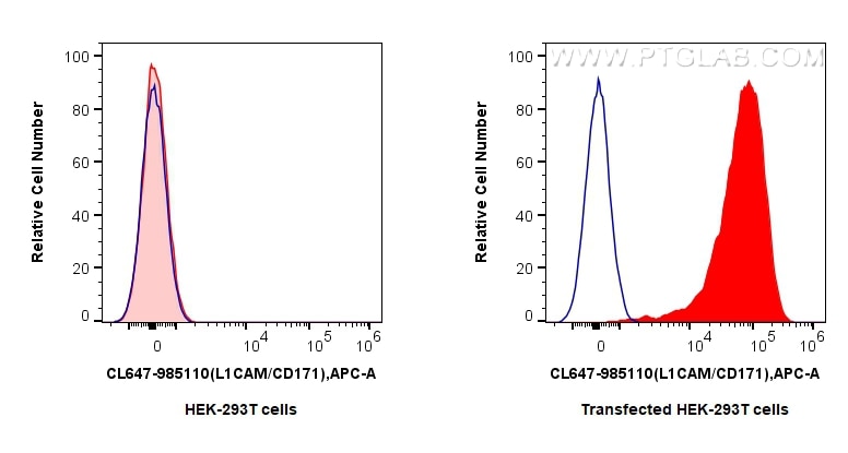 FC experiment of Transfected HEK-293T using CL647-98510 Flow cytometry (FC) experiment of Transfected HEK-293T cells using CoraLite® Plus 647 Anti-Mouse L1CAM/CD171 Rabbit R (CL647-98510)